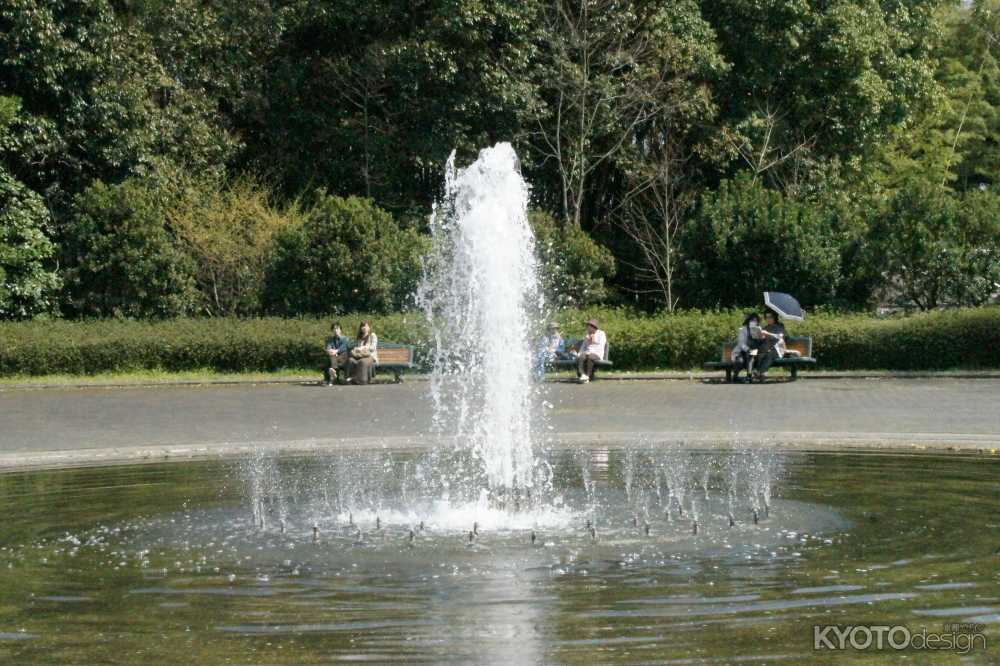 京都府立植物園　第51回 菊花展