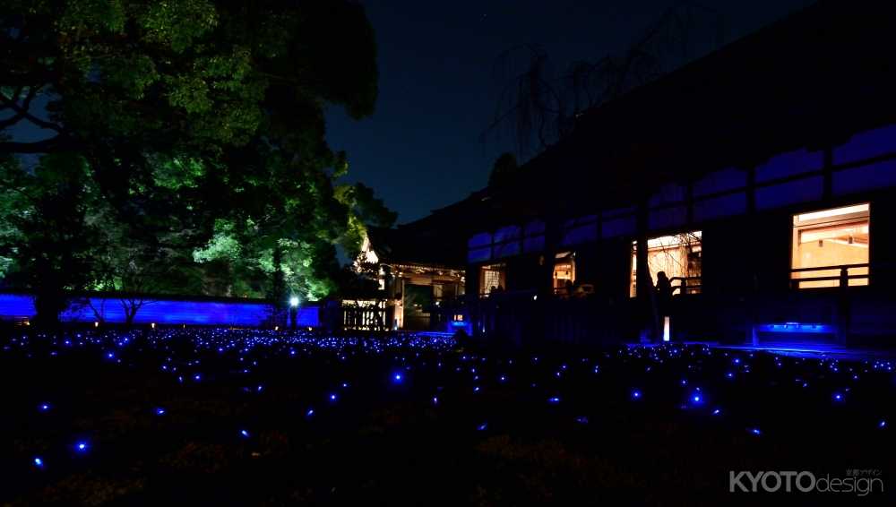 青蓮院 秋の夜間拝観