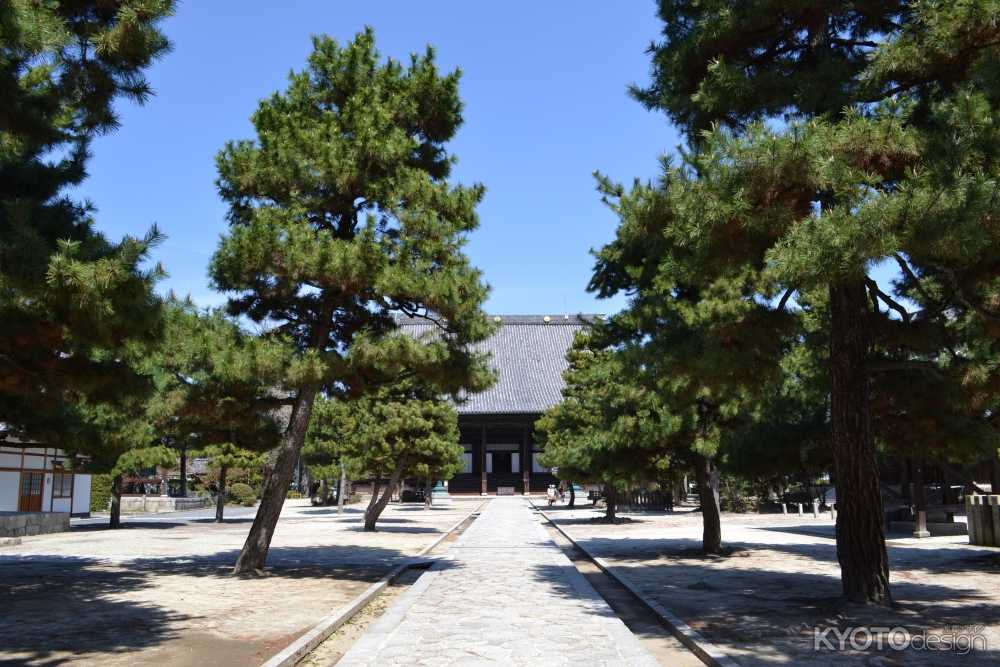  第41回 秋の古本まつり 