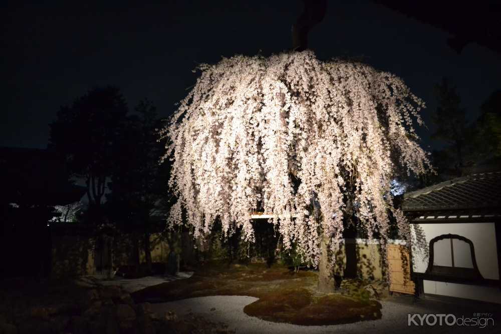 高台寺 春の特別展