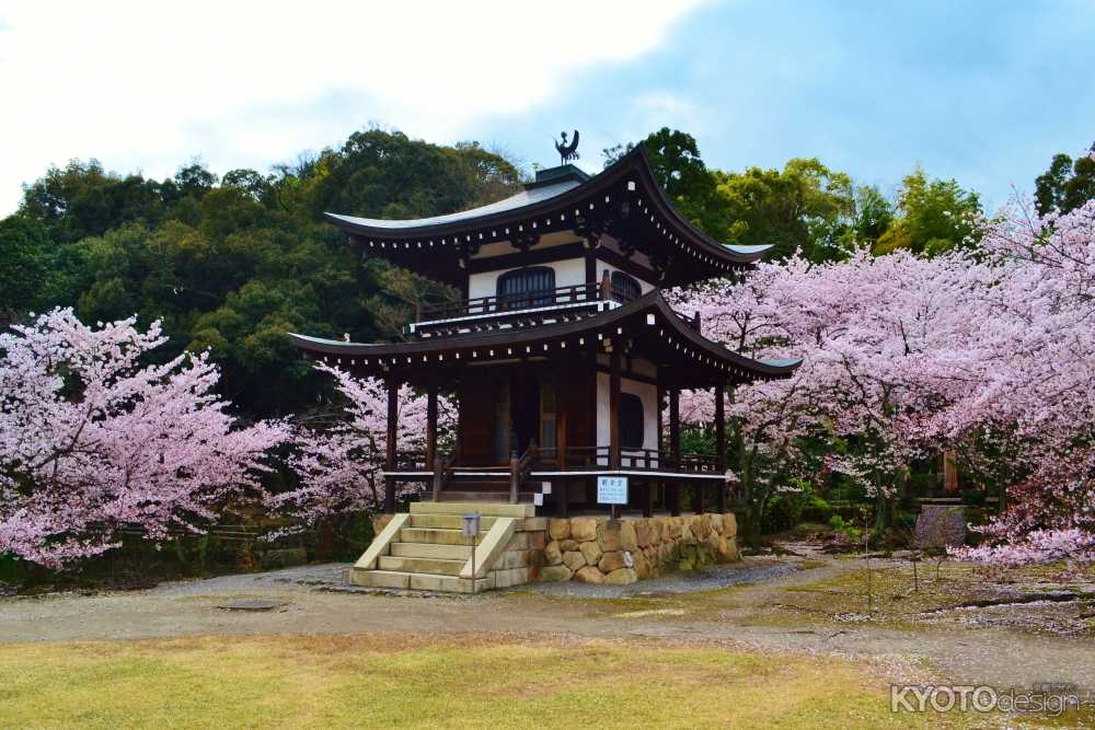 勧修寺 書院特別公開