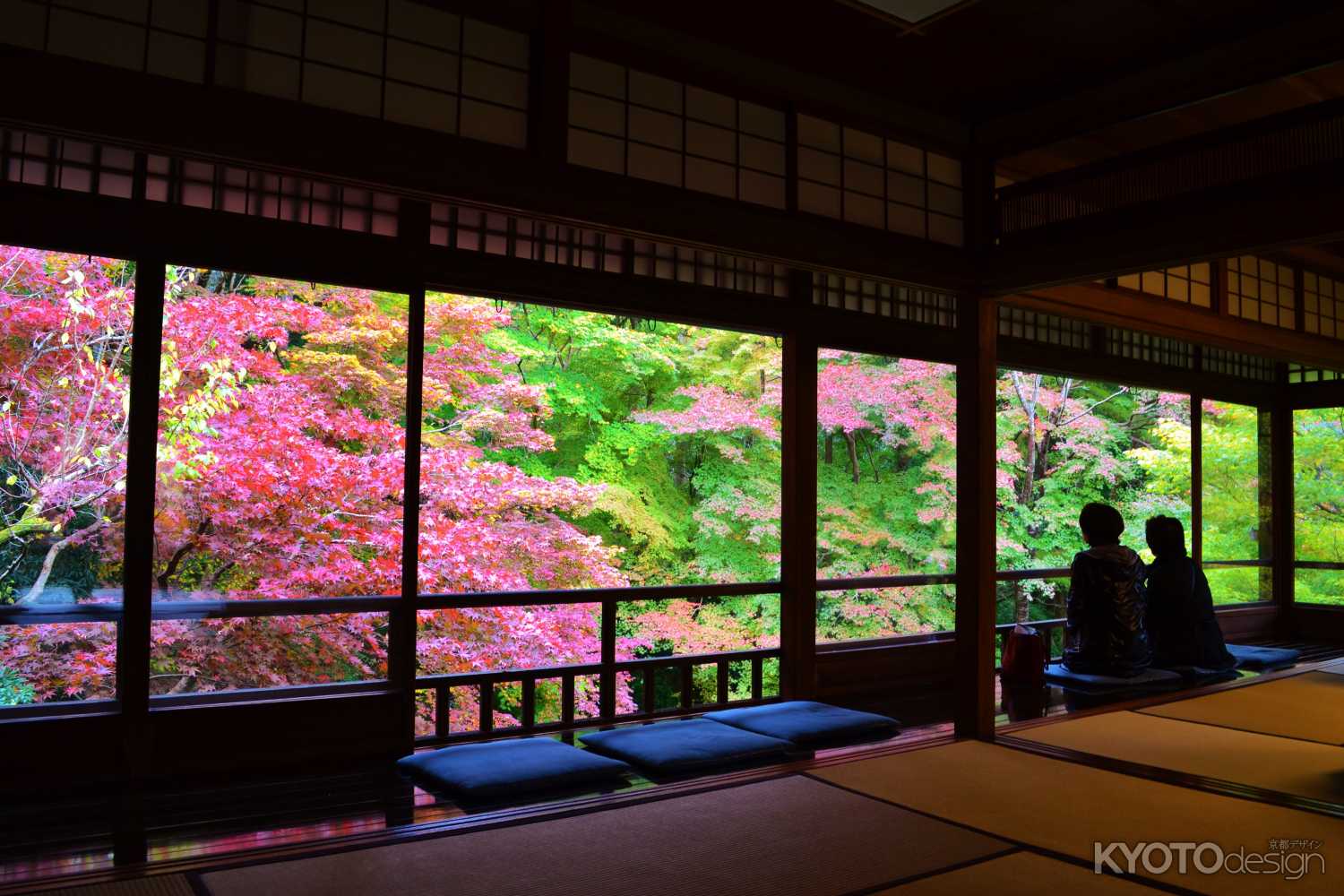  瑠璃光院　秋の特別拝観