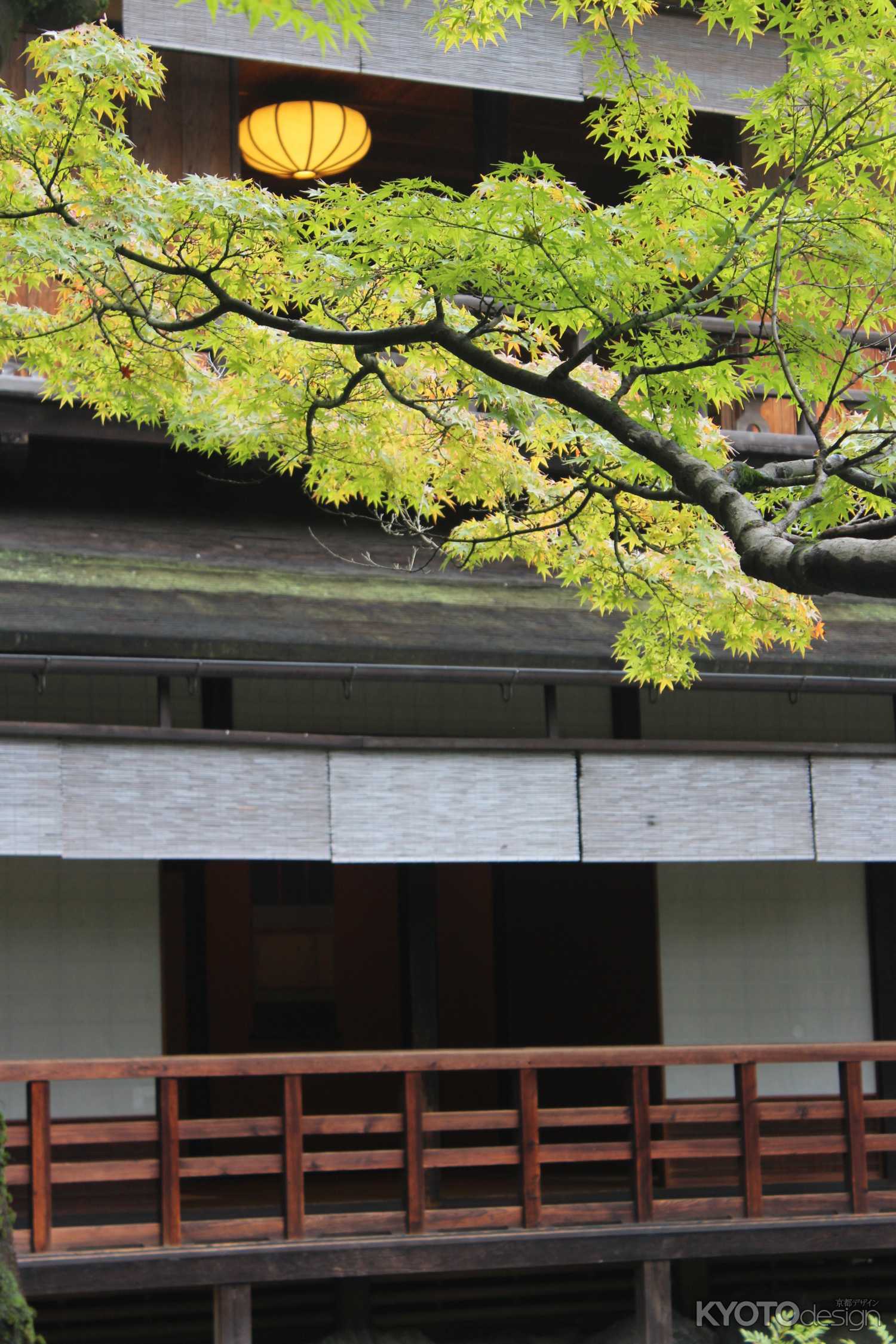 「葵祭にあわせて参観を楽しむ」旧九條家遺構　拾翠亭特別公開