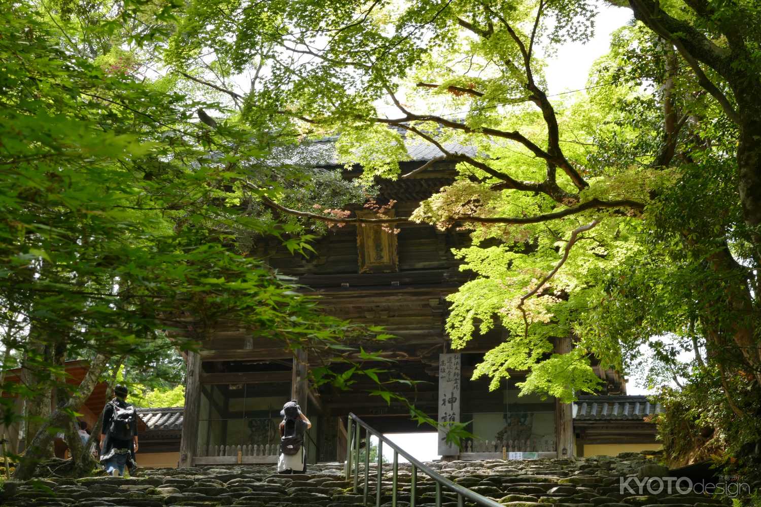 多宝塔特別公開