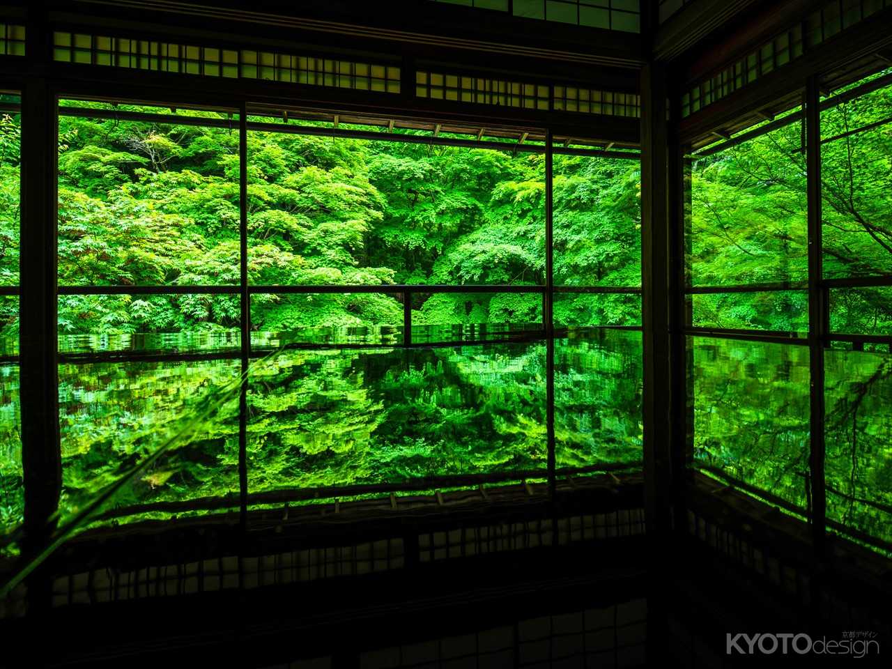 瑠璃光院　青紅葉