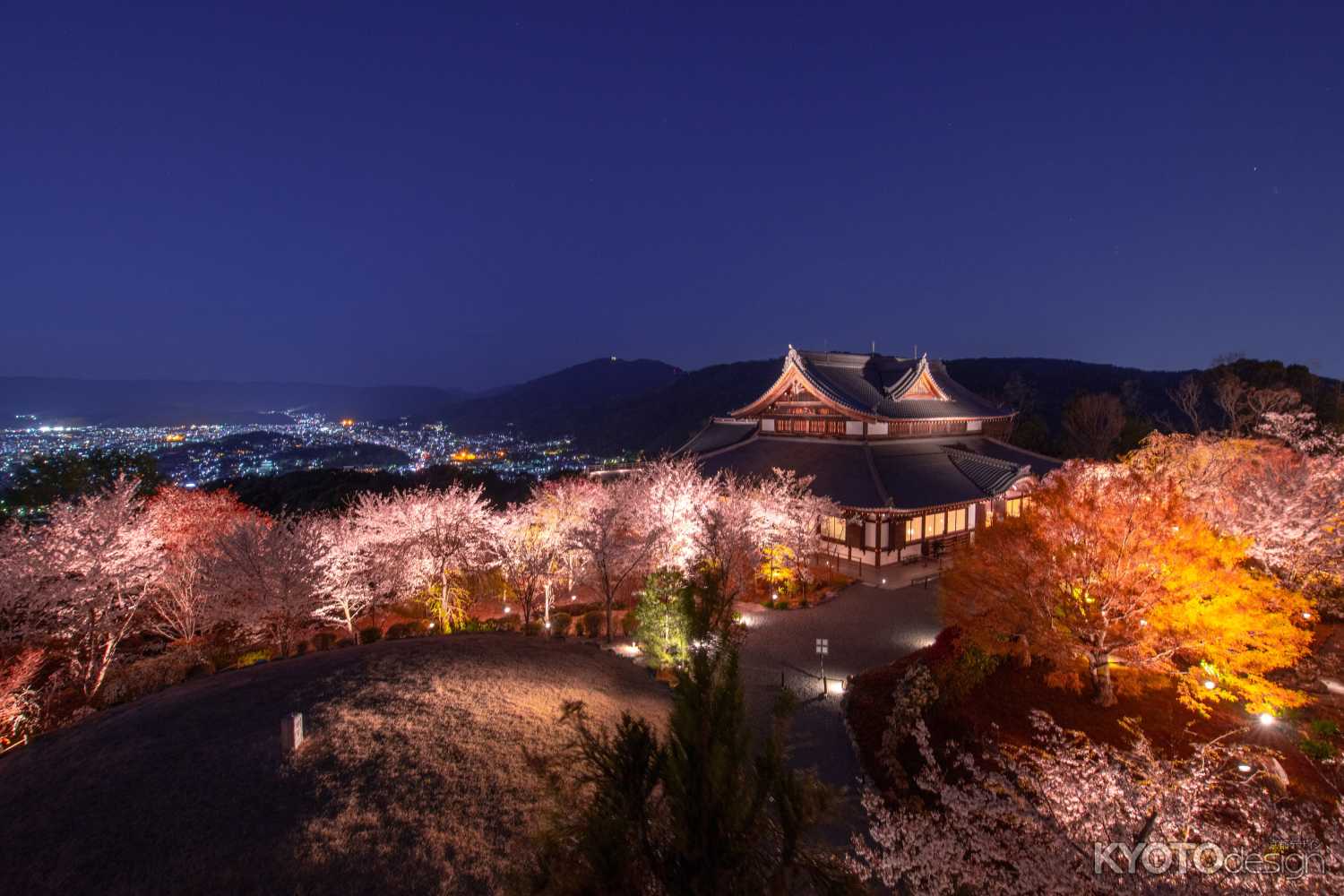 将軍塚青龍殿　夜間特別拝観　(中止）