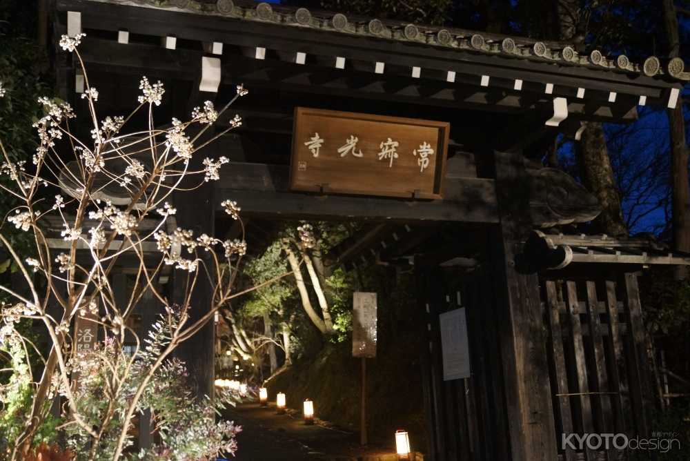 嵐山花灯路2021夜間特別拝観
