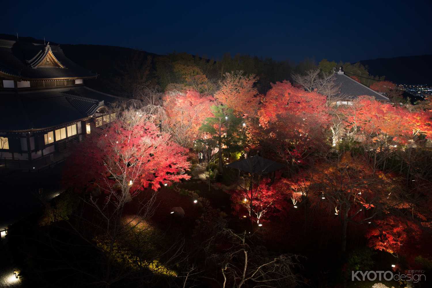 将軍塚青龍殿 秋の夜間拝観