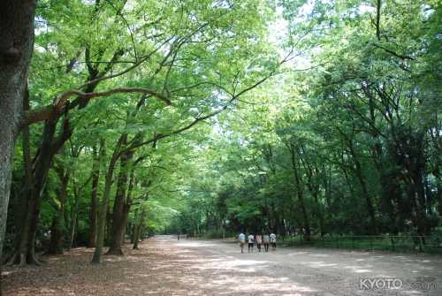 納涼古本まつり