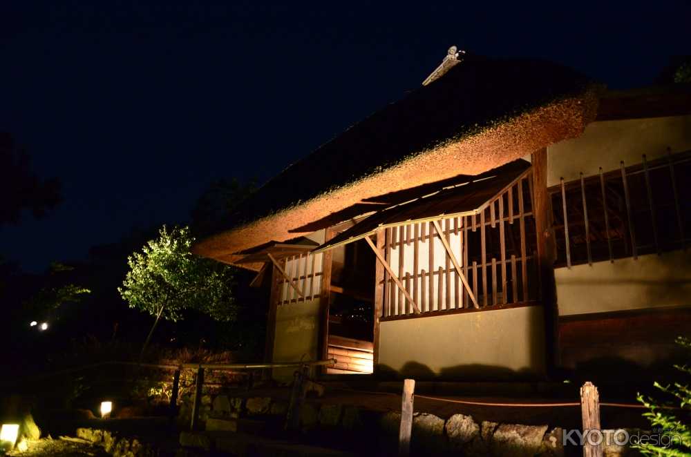 秋の夜の観月茶会