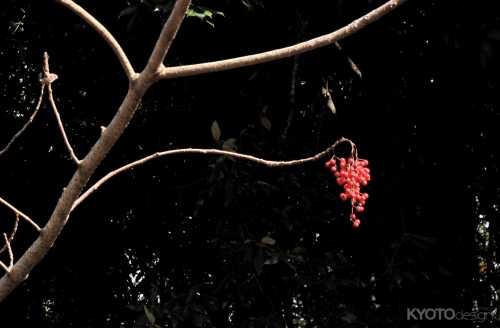 名月鑑賞の夕べ