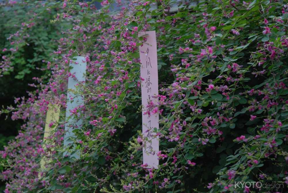 萩まつり（神事のみ斎行）