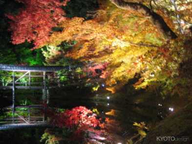 高台寺 秋の特別拝観・ライトアップ