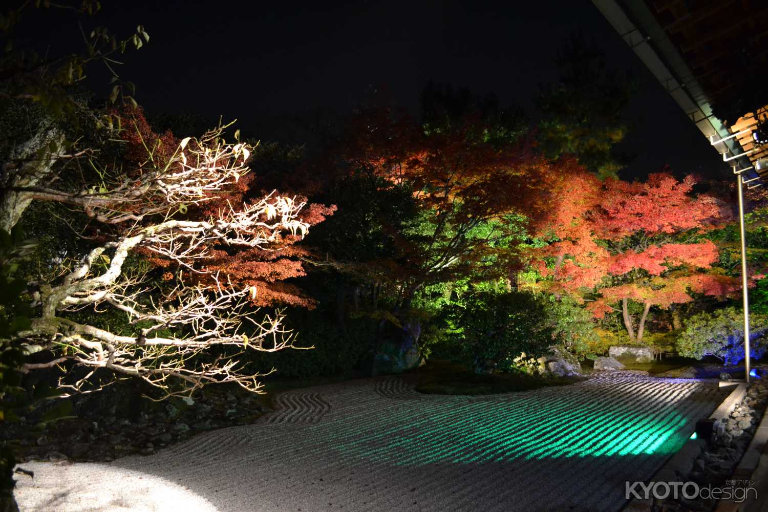  圓徳院　秋の特別展・ライトアップ