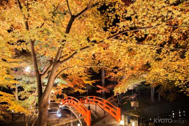 北野天満宮　御土居ともみじ苑公開