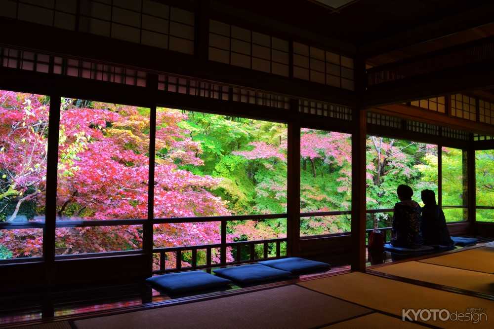 瑠璃光院　秋の特別拝観