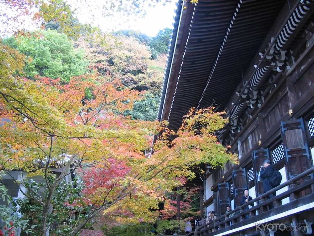 永観堂 秋の寺宝展