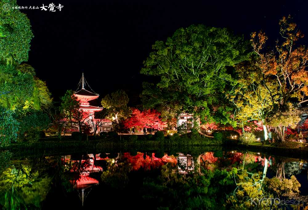 大覚寺大沢池ライトアップ「真紅の水鏡」（中止）
