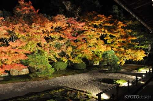 南禅寺 天授庵ライトアップ（中止）