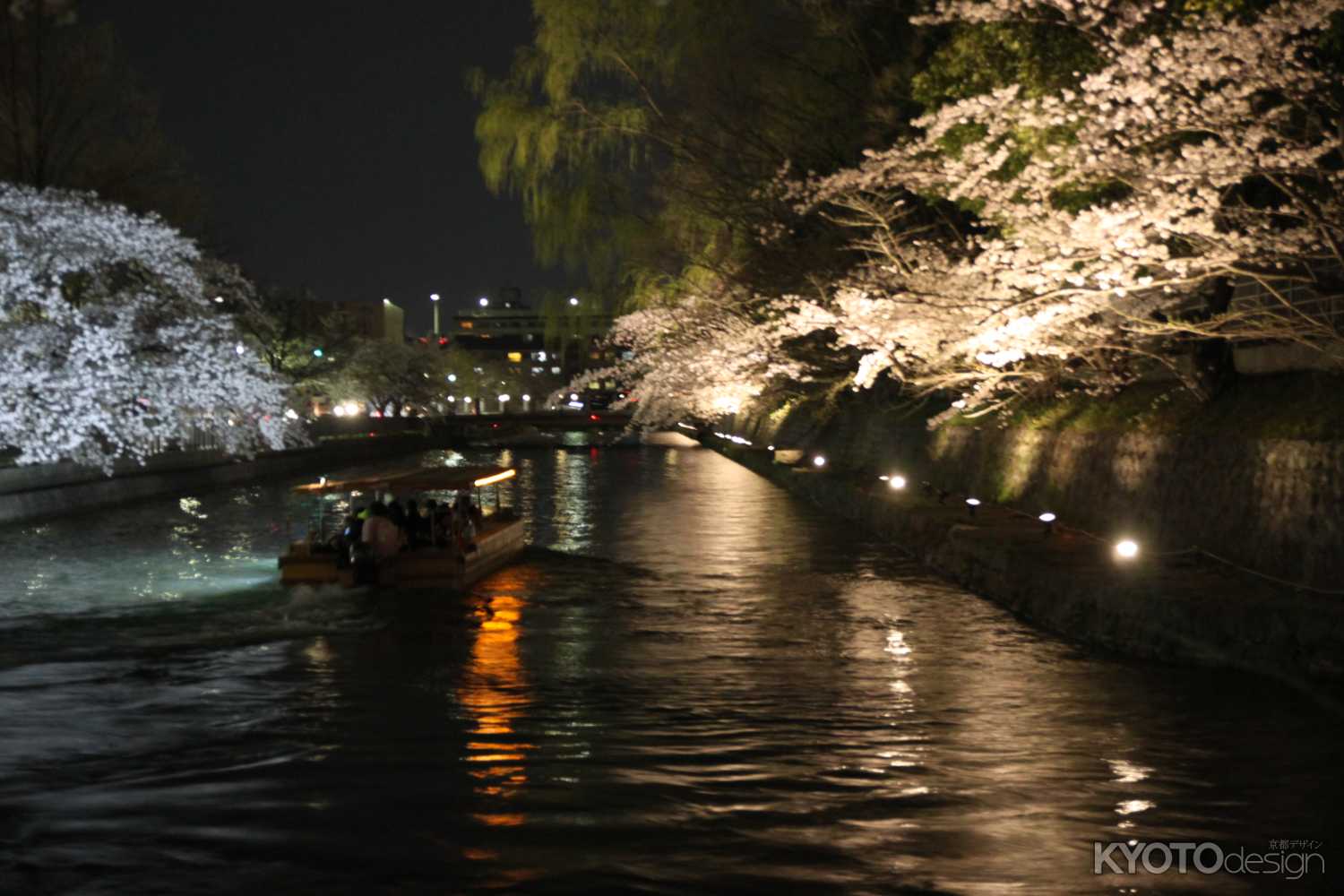 岡崎桜回廊ライトアップ