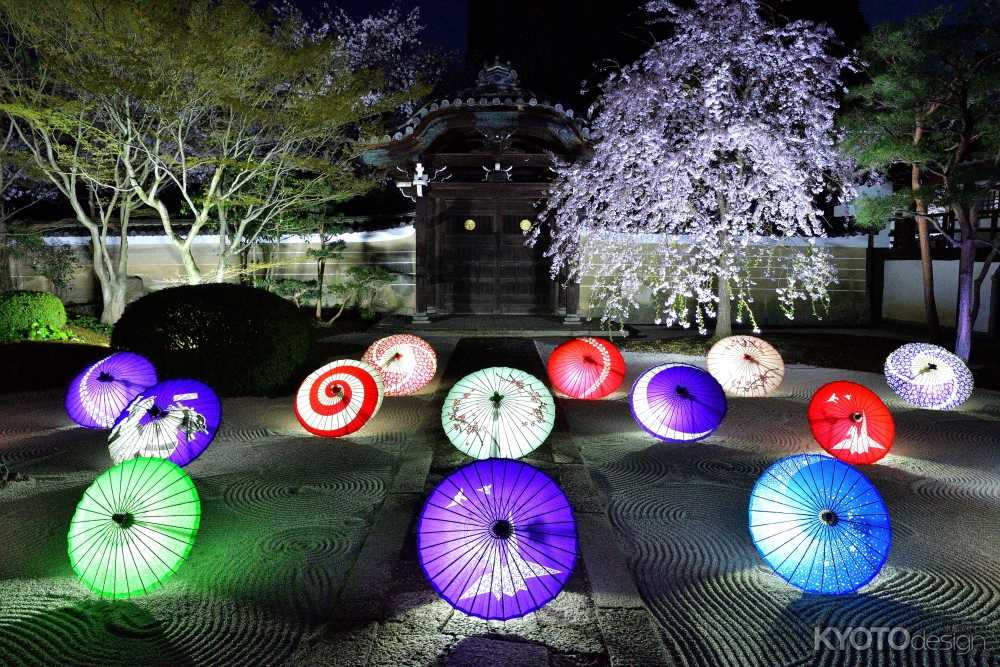 春の花見と特別拝観 ライトアップ