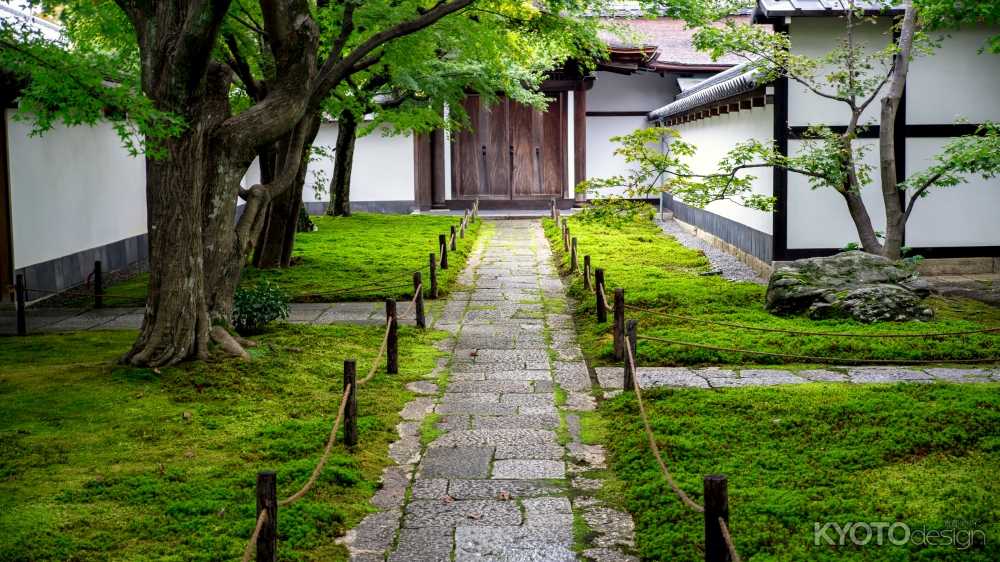 大徳寺塔頭 黄梅院 春の特別公開