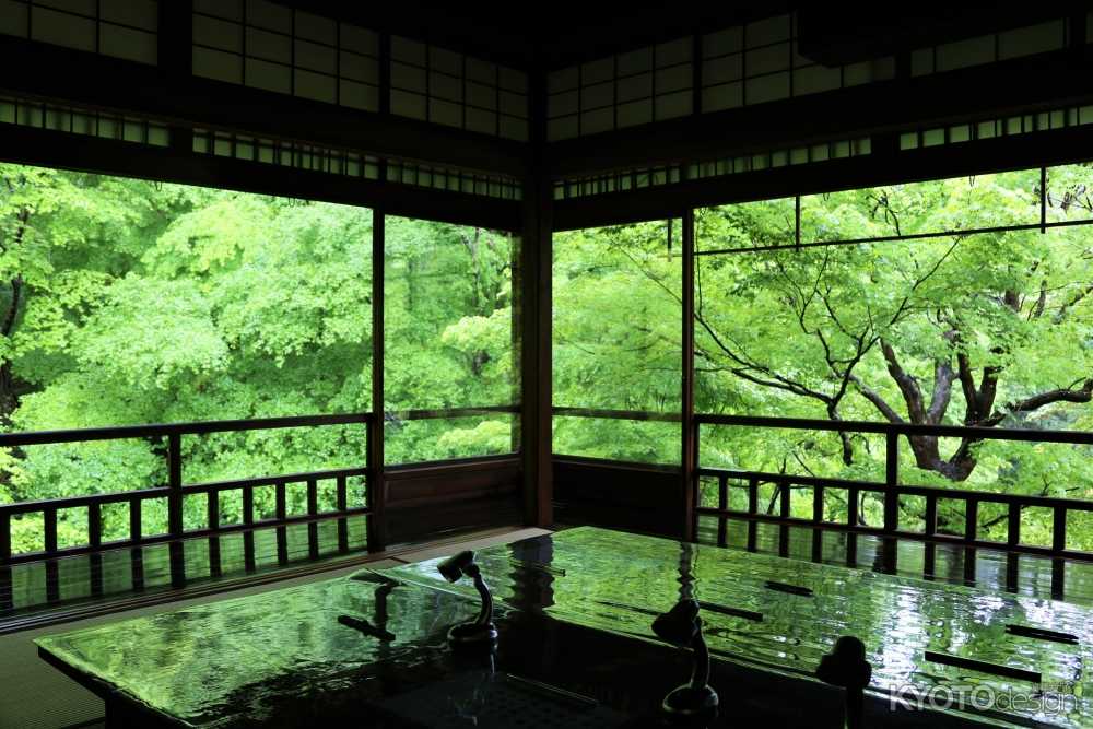 瑠璃光院 春の特別拝観