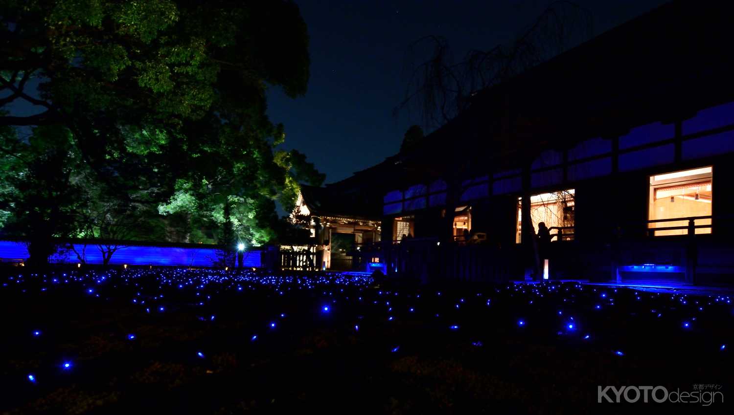 青蓮院　夜の特別拝観
