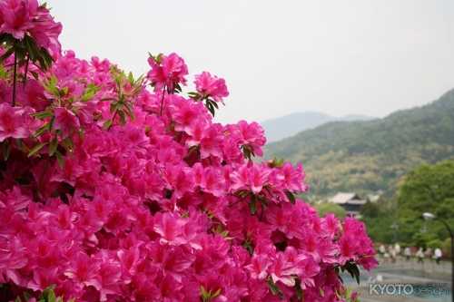 蹴上浄水場の一般公開