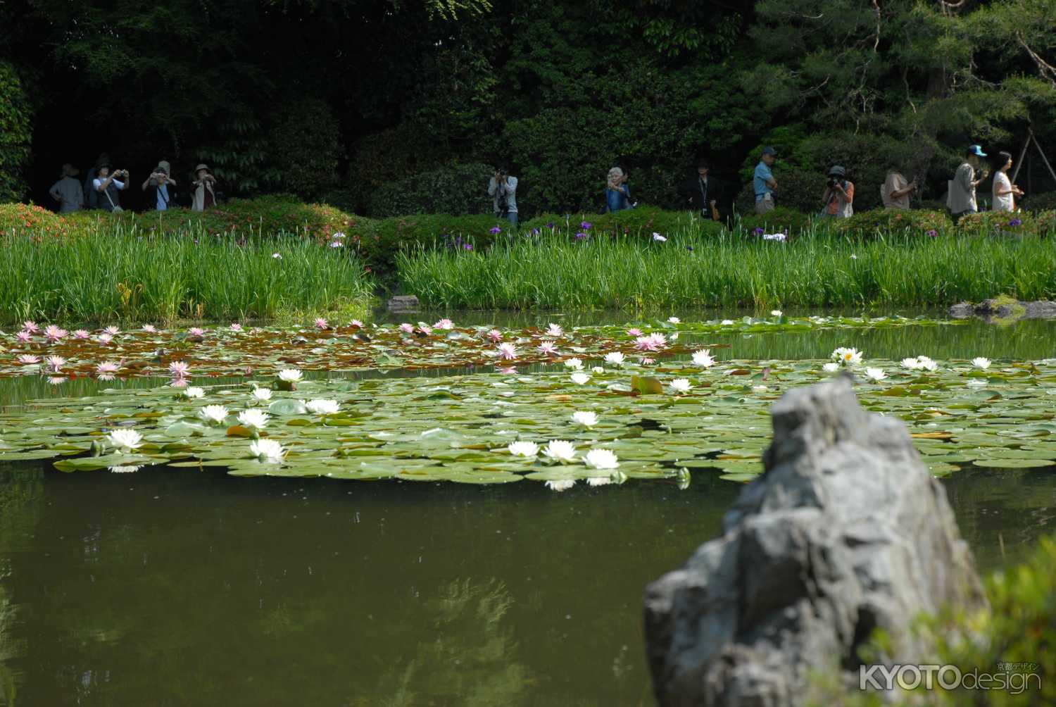 春の神苑無料特別公開