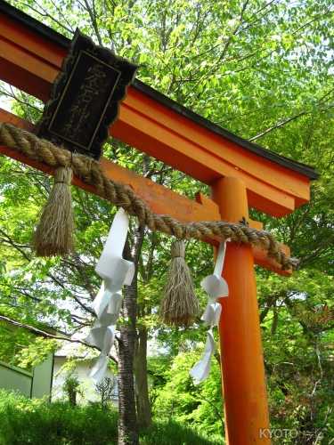 千日詣り（千日通夜祭）