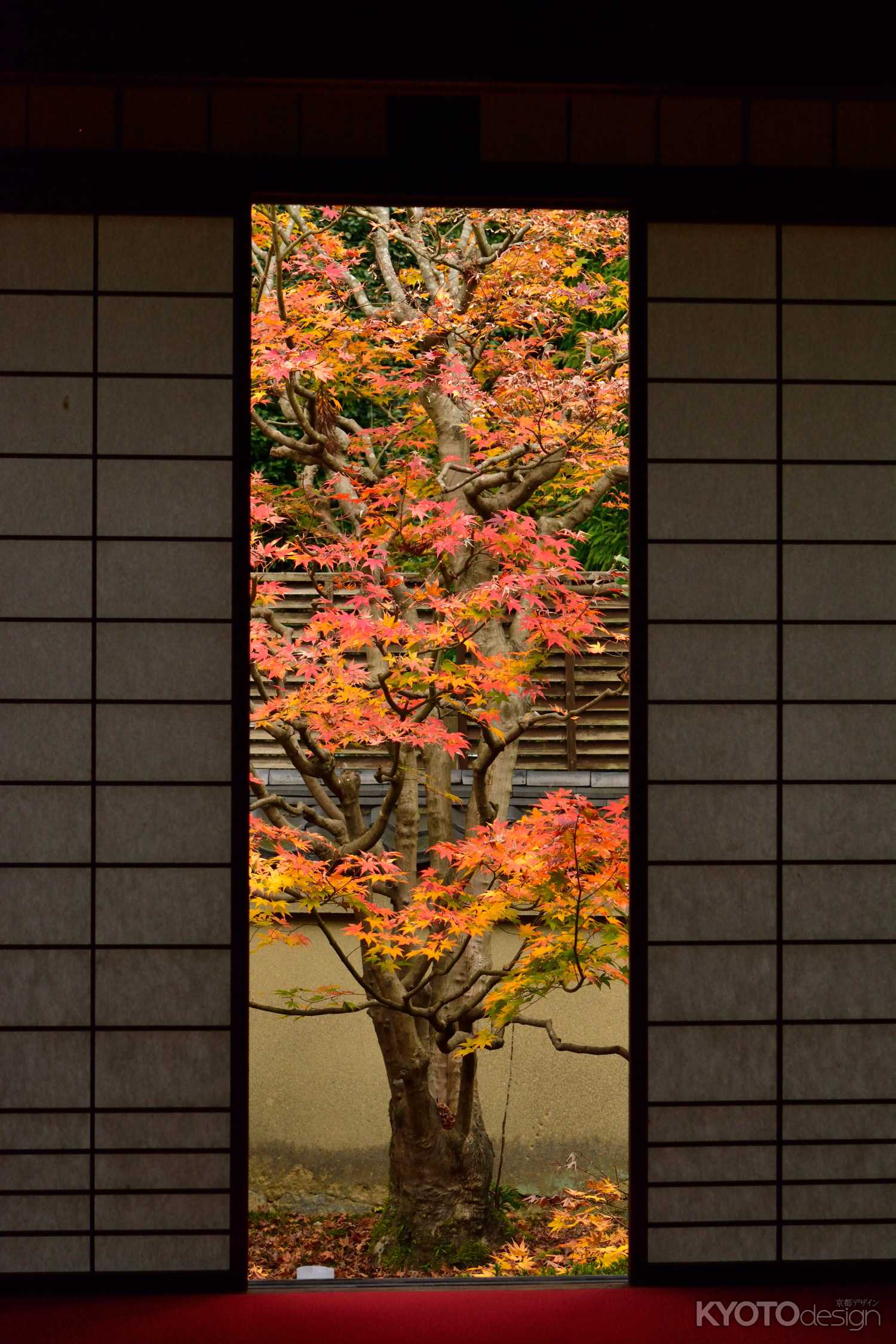 雲龍院 秋の特別拝観と夜間ライトアップ