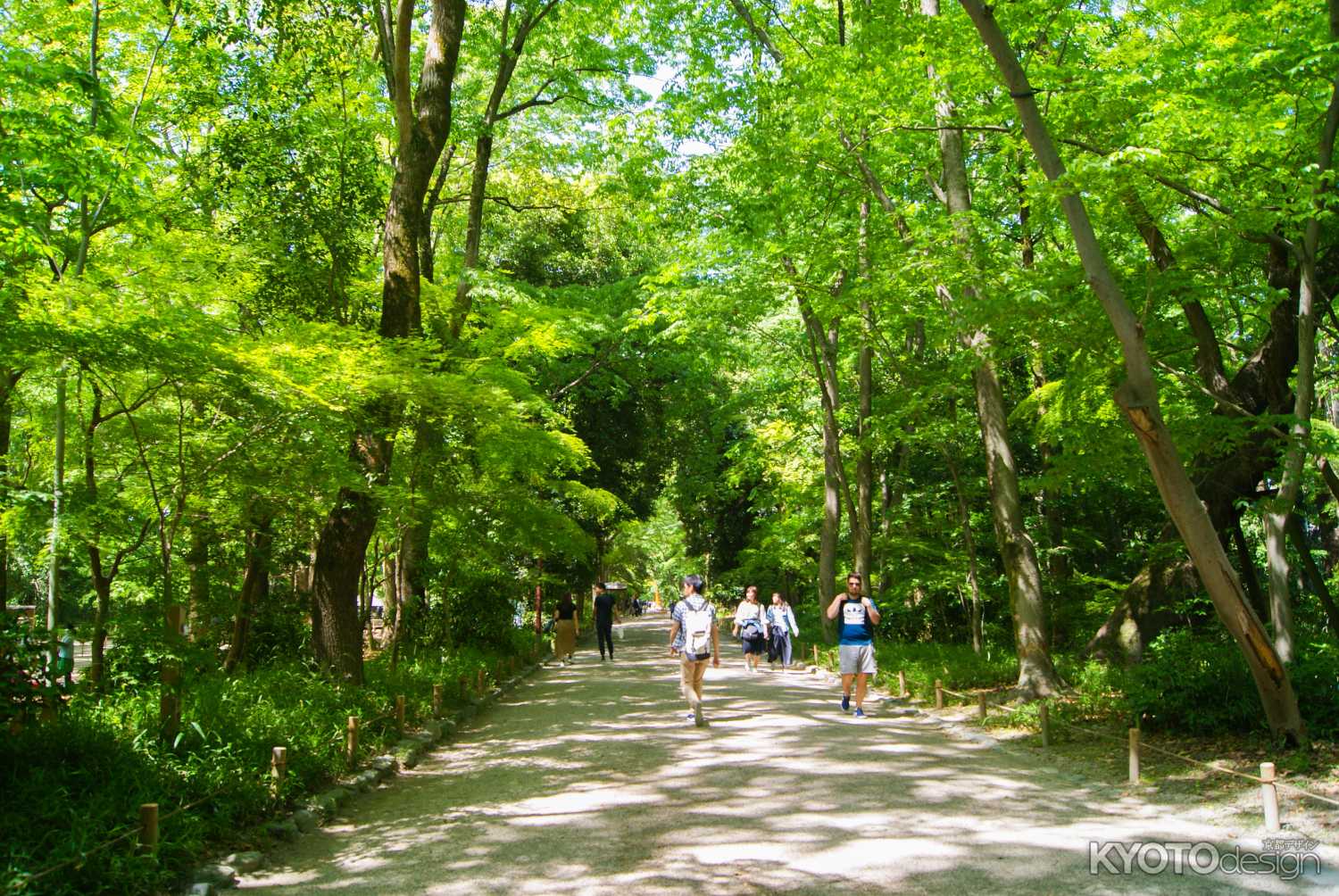 下鴨納涼古本まつり