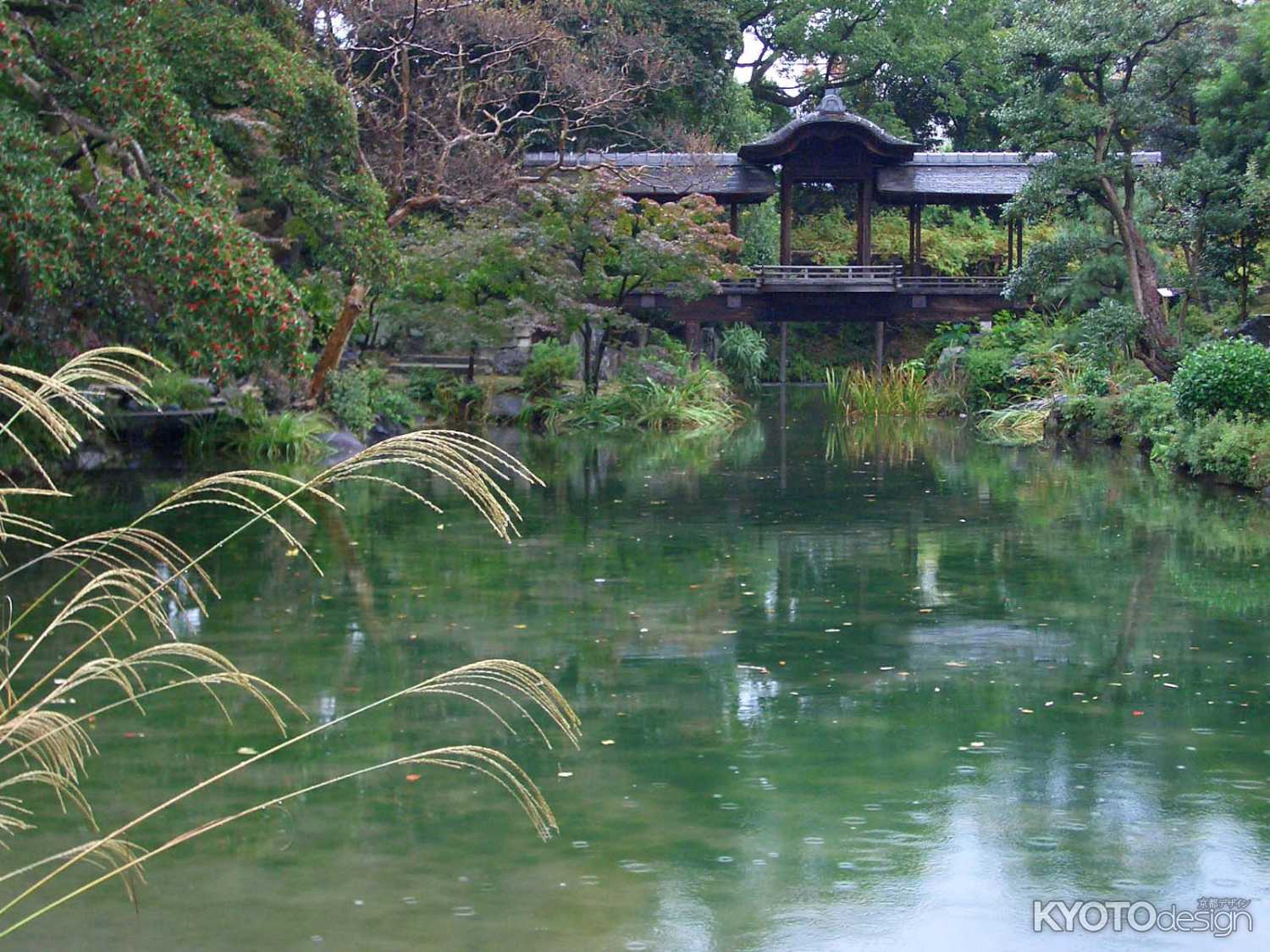夜間特別拝観「渉成園 秋灯り」
