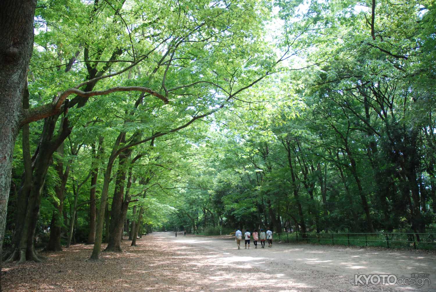 納涼古本まつり