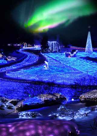  西日本初・京都最大！「京都イルミエール2013」 