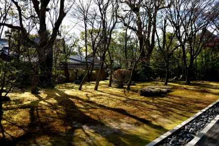 第49回 京の冬の旅 非公開文化財特別公開　