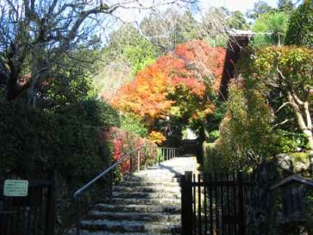 寂光院  秋期特別公開