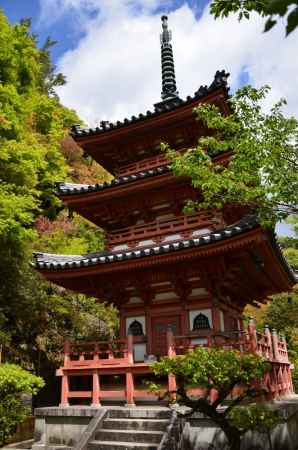 ハス酒を楽しむ会