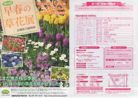 第11回　早春の草花展