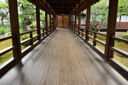 大覚寺 特別名宝展