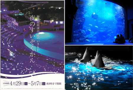 ゴールデンウィーク特別企画『夜のすいぞくかん』