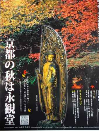 永観堂ライトアップ