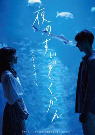 夜のすいぞくかん