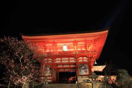 清水寺宵まいり（夜の特別拝観）