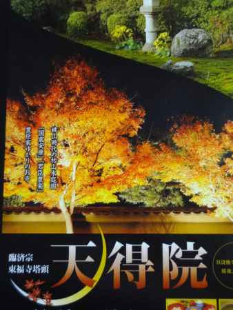 天得院 秋の特別拝観