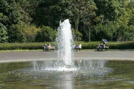 京都府立植物園　第51回 菊花展