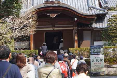 成就院庭園 特別公開