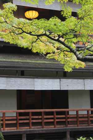 「葵祭にあわせて参観を楽しむ」旧九條家遺構　拾翠亭特別公開