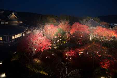 将軍塚青龍殿 秋の夜間拝観（中止）
